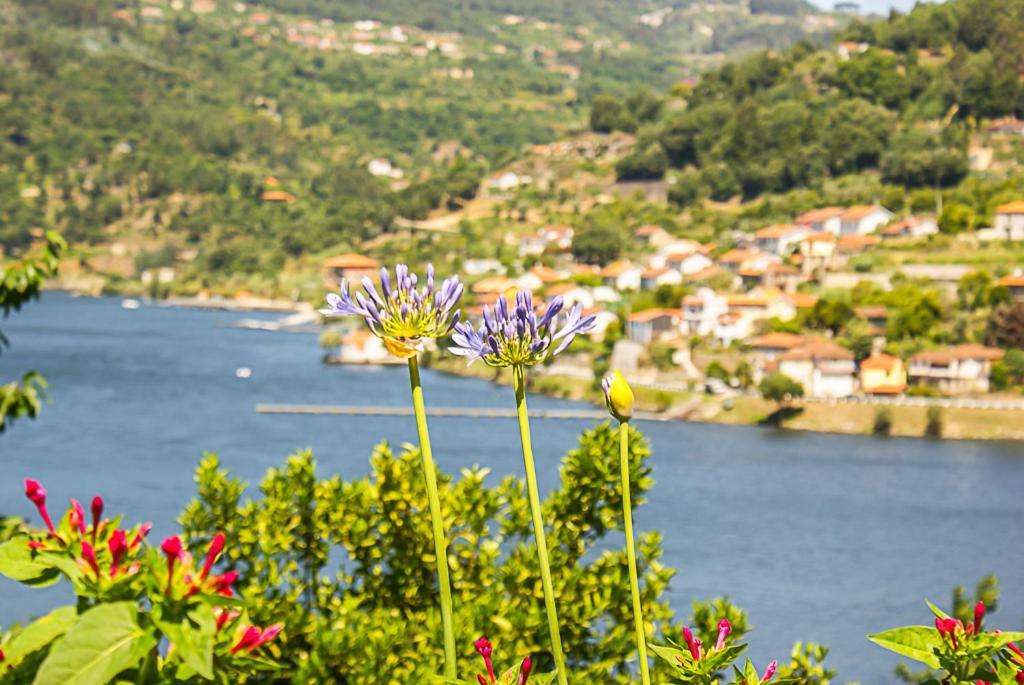 Casa Da Torre, Porto Manso Villa Ribadouro Luaran gambar