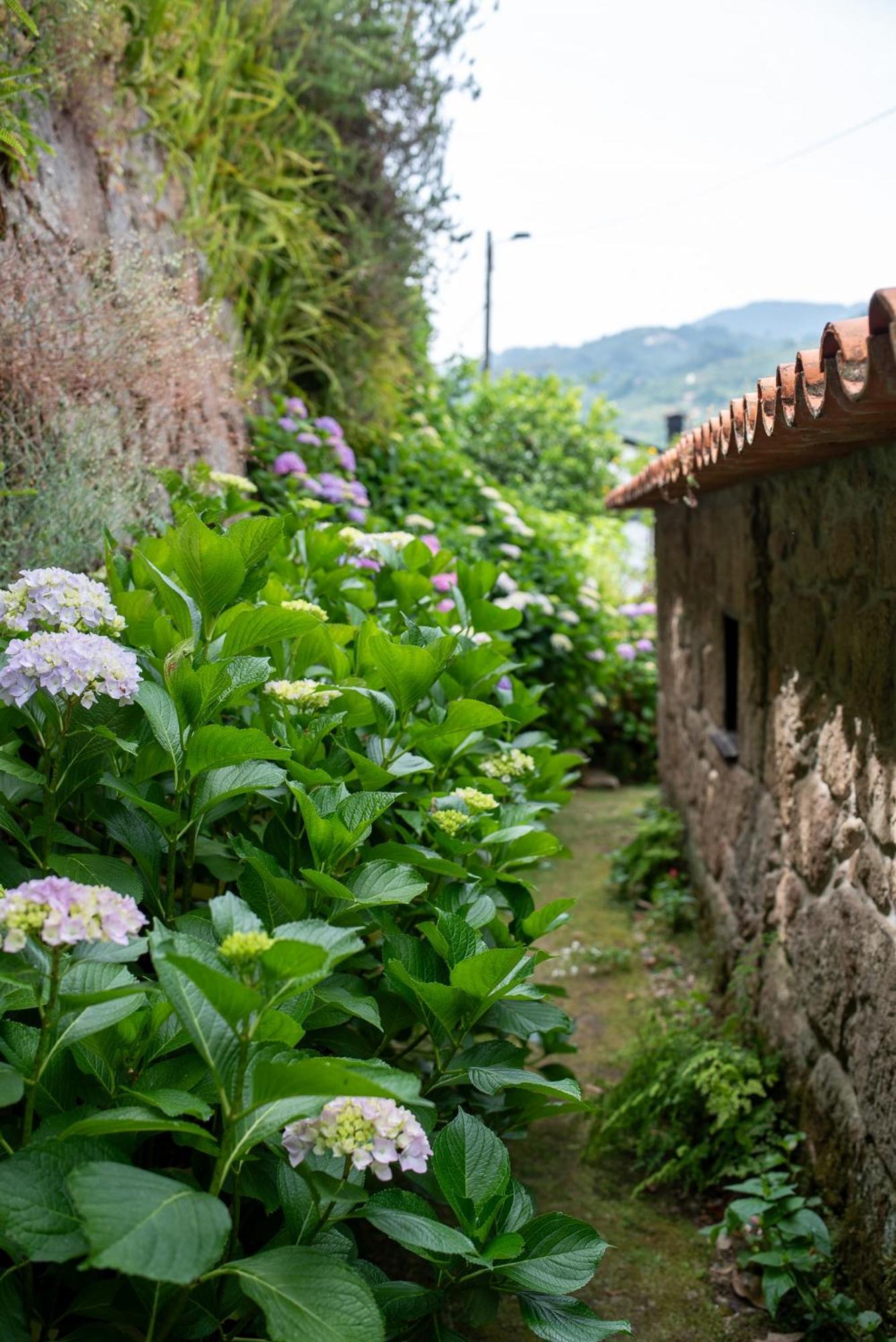 Casa Da Torre, Porto Manso Villa Ribadouro Luaran gambar