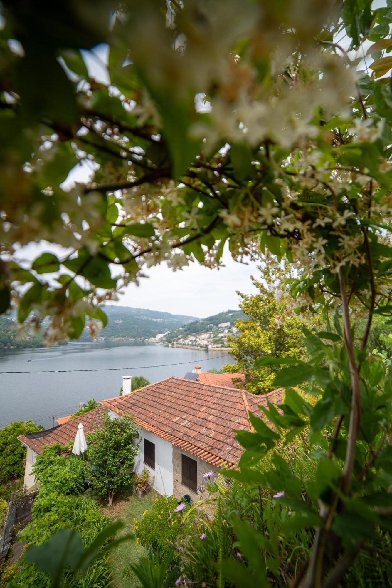 Casa Da Torre, Porto Manso Villa Ribadouro Luaran gambar